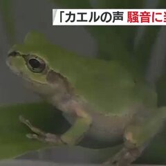 都民「隣の家の庭のカ…