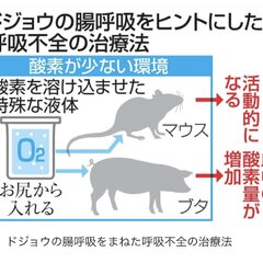 【エヴァ法】尻から酸…