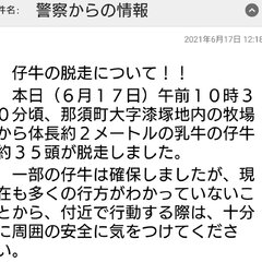 【子ウシ脱走】栃木県…