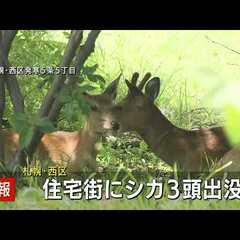 北海道 札幌市西区に…