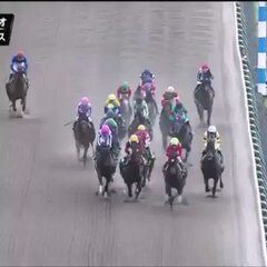 【競馬】ピンクカメハ…