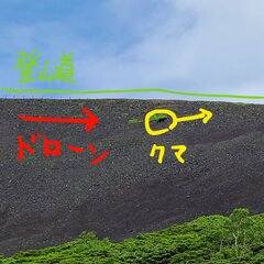 秋田駒ケ岳でクマをド…