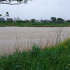 秋田 雄物川が氾濫 …