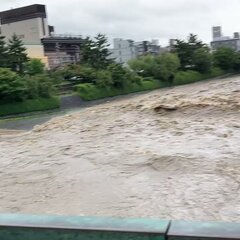 【大雨】京都 鴨川が…