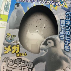 【びっくりメガペンギ…