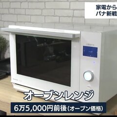 【炎上】パナソニック…