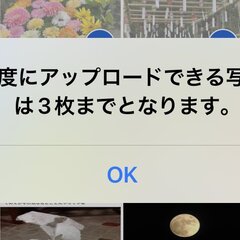 「いまmixiはこう…