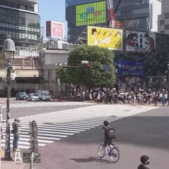 【動画】渋谷の交差点…