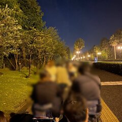 ディズニーストア50周年グッズ行列 舞浜 京都 渋谷 名古屋 心斎橋 各地で転売ヤーや徹夜組が待機列形成 やばい まとめダネ