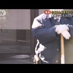 【逮捕】小室圭さんの…