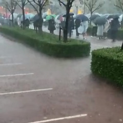 【動画】大雨の中ずぶ…