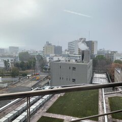 【名古屋雪】名古屋に…