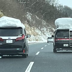 高速で屋根に雪乗せた…