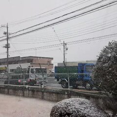 大雪 ノーマルタイヤ…