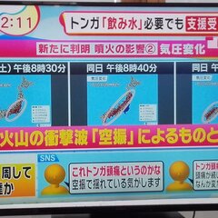 【トンガ頭痛】マスコ…