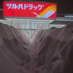 【画像】札幌が大雪過…