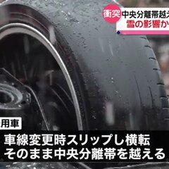 【事故】調布の野川公…