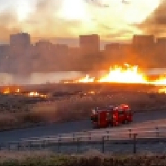 【荒川河川敷が燃えて…