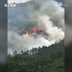 【動画】中国東方航空…