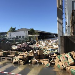 【浸水】浦和卸売市場…